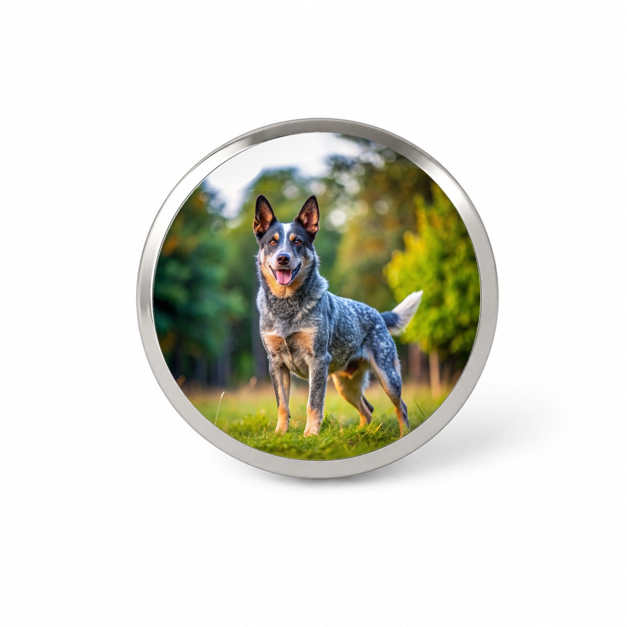 Australian Cattle Dog Photo Novelty Hat Backpack Lapel Pin