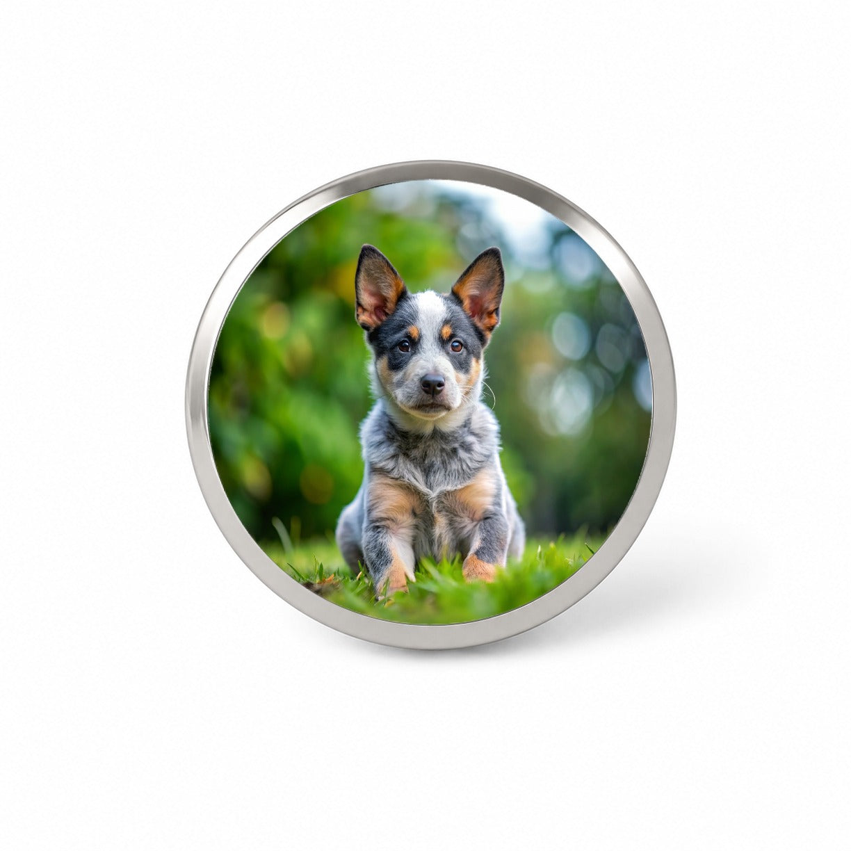 Australian Cattle Dog Puppy Photo Novelty Hat Backpack Lapel Pin