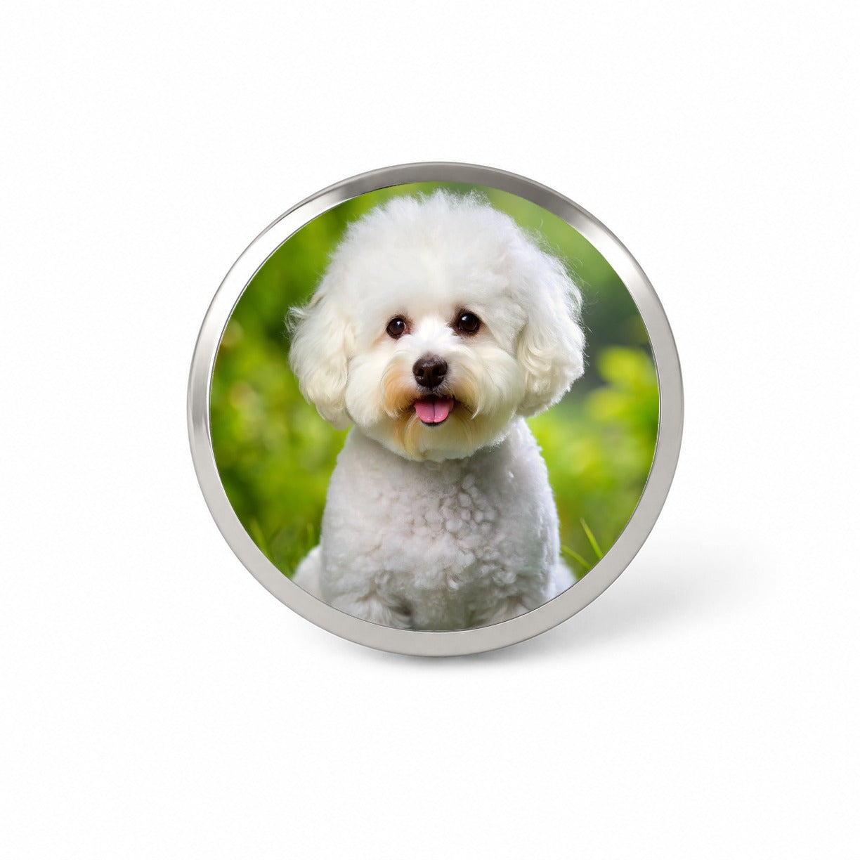 Bichon Frise Dog Photo Novelty Hat Backpack Lapel Pin