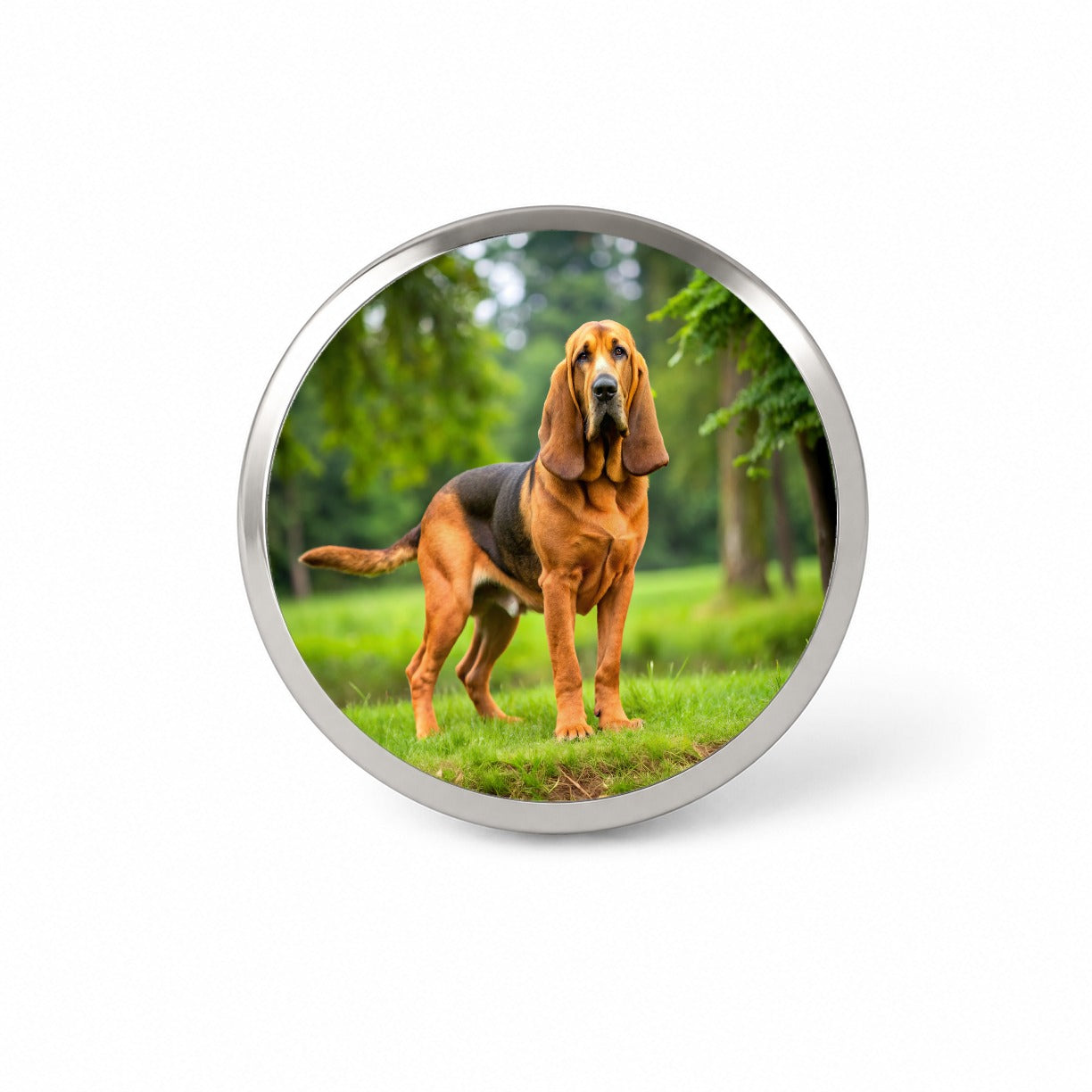 Bloodhound Dog Photo Novelty Hat Backpack Lapel Pin