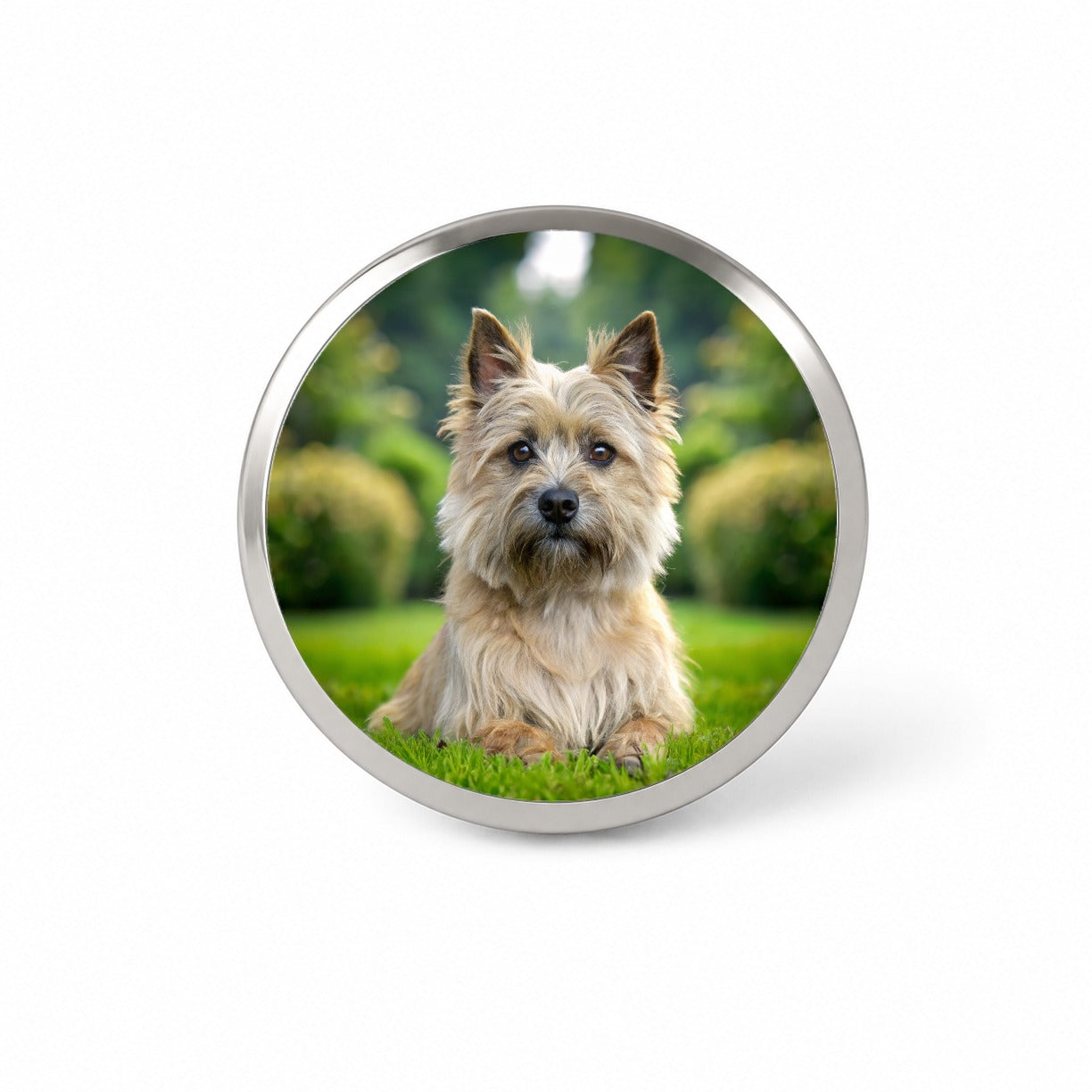 Cairn Terrier Dog Photo Novelty Hat Backpack Lapel Pin
