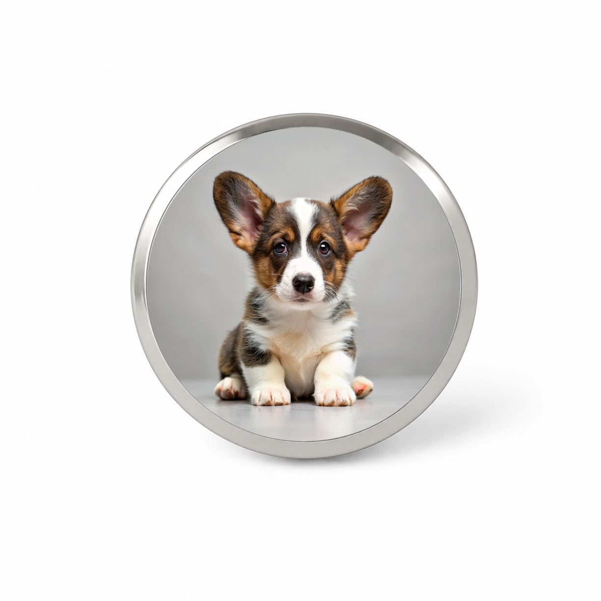 Cardigan Welsh Corgi Dog Puppy Photo Novelty Hat Backpack Lapel Pin