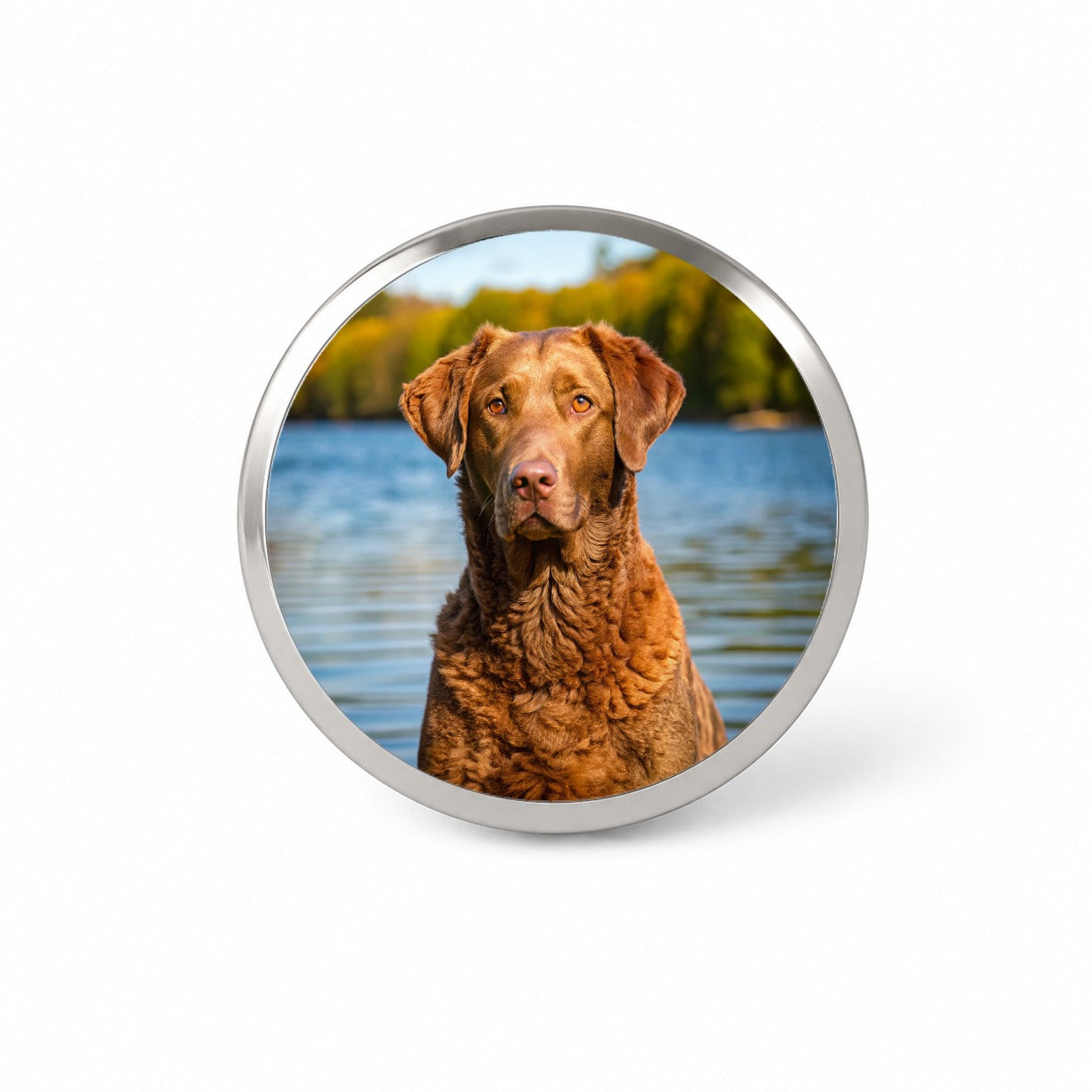 Chesapeake Bay Retriever Dog Photo Novelty Hat Backpack Lapel Pin