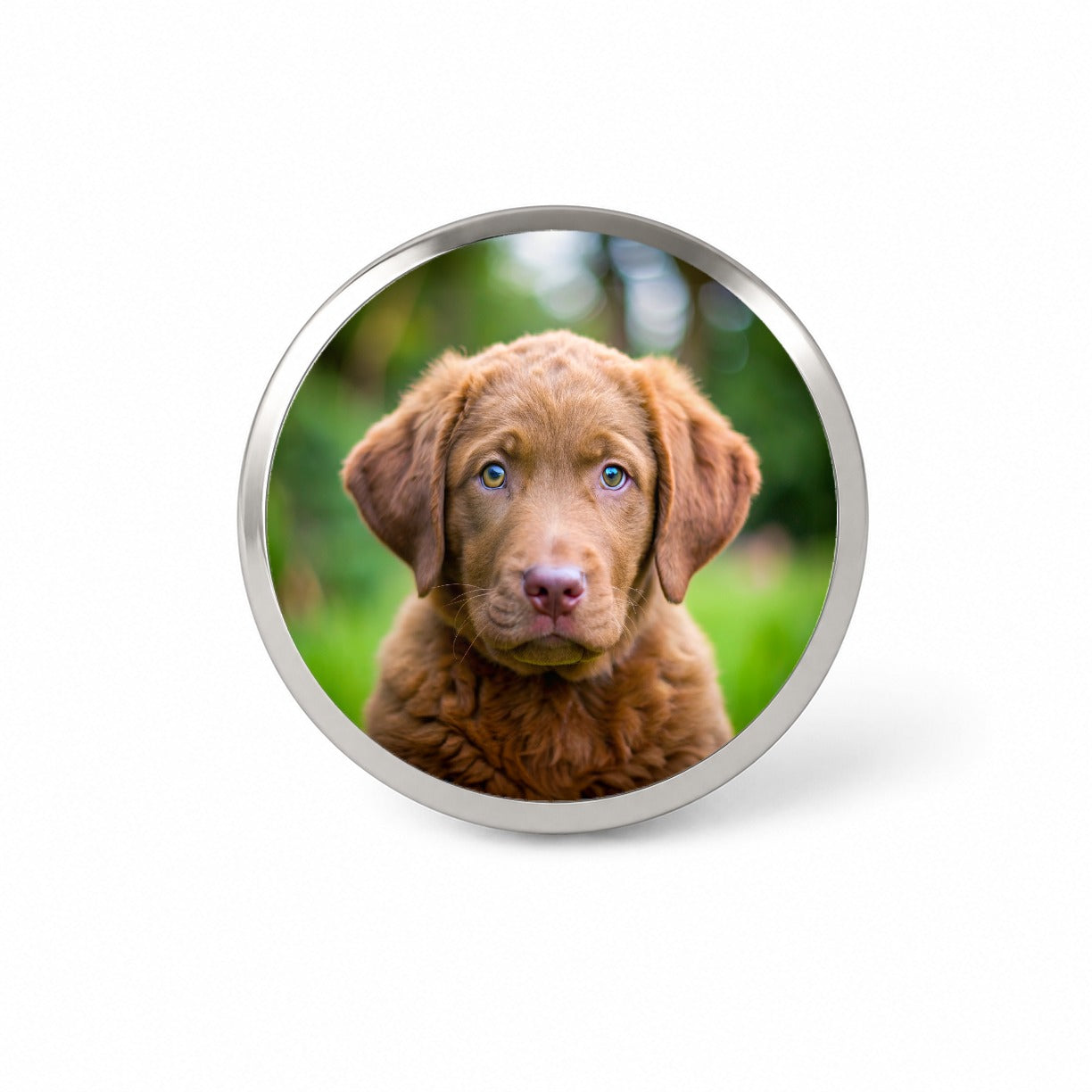 Chesapeake Bay Retriever Dog Puppy Photo Novelty Hat Backpack Lapel Pin