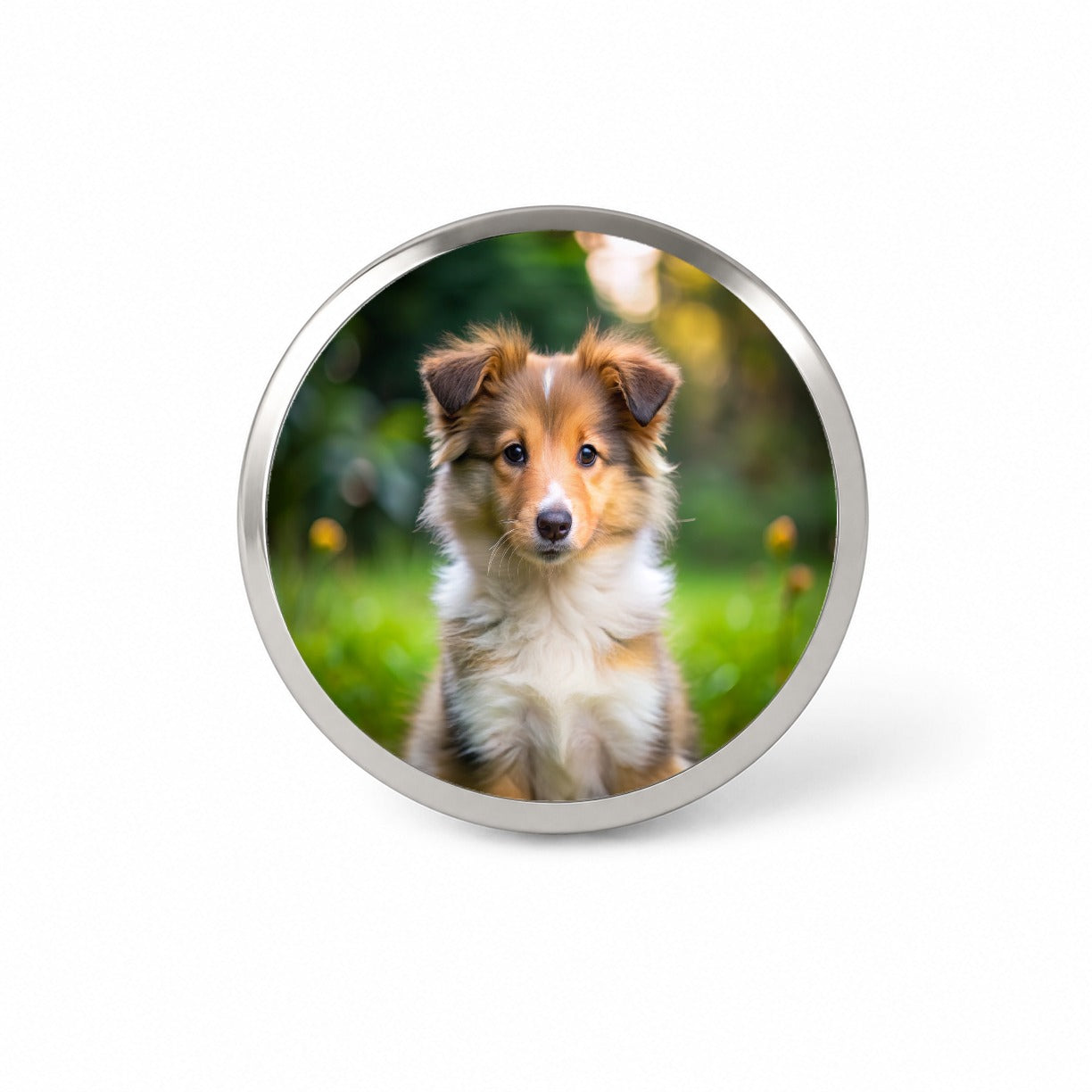 Collie Dog Puppy Photo Novelty Hat Backpack Lapel Pin