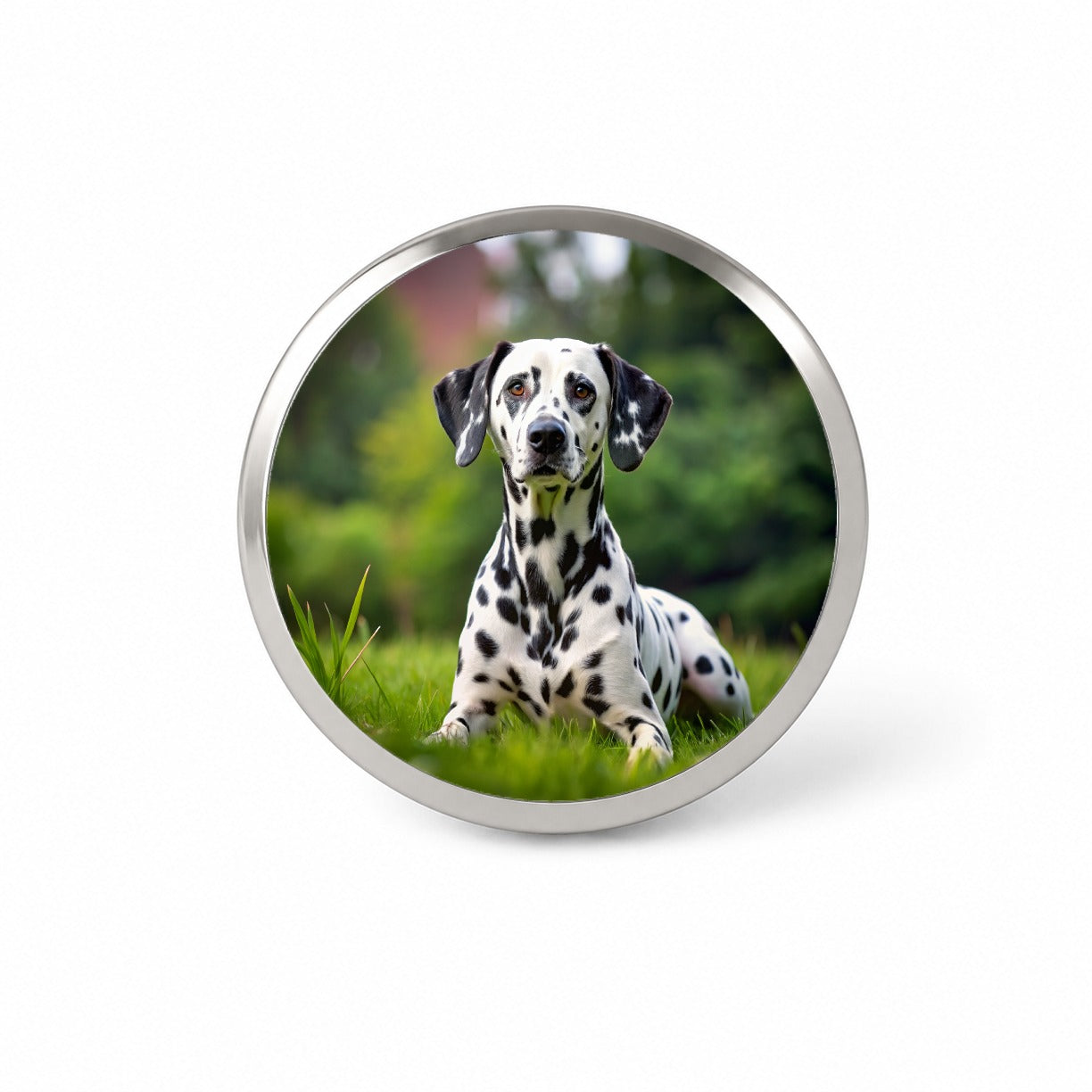 Dalmatian Dog Photo Novelty Hat Backpack Lapel Pin