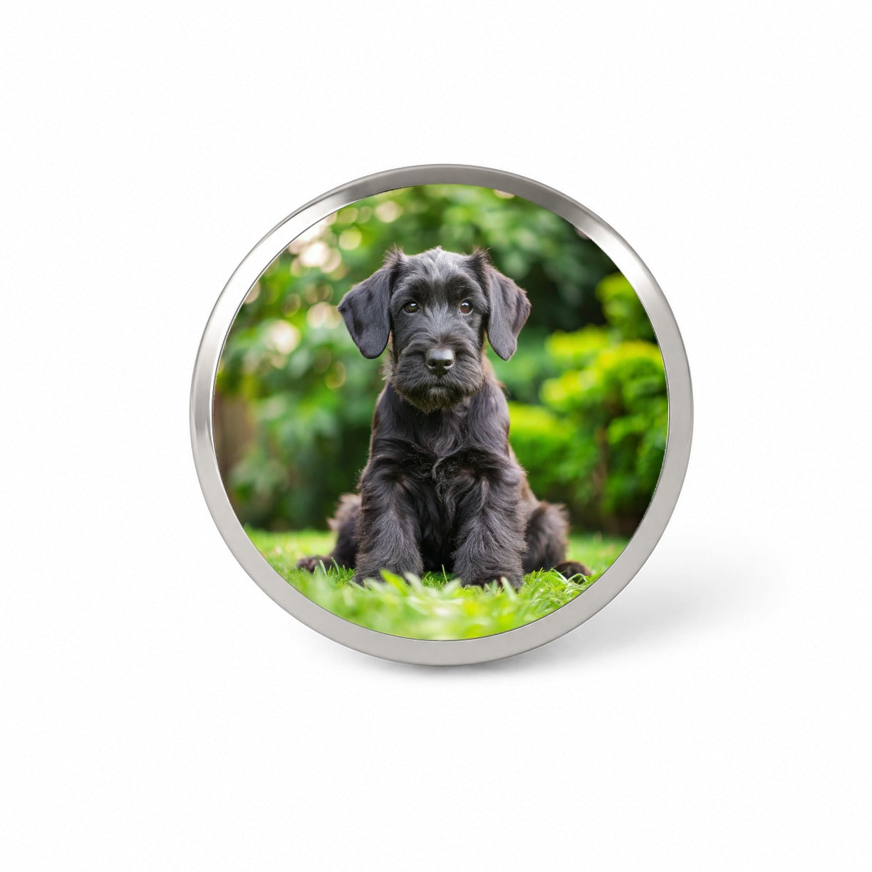 Giant Schnauzer Dog Puppy Photo Novelty Hat Backpack Lapel Pin