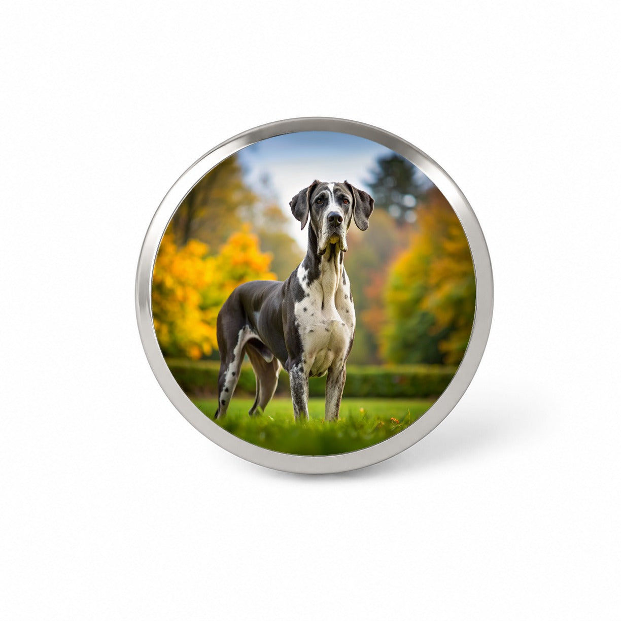 Great Dane Dog Photo Novelty Hat Backpack Lapel Pin