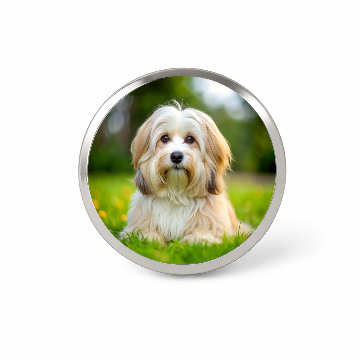 Havanese Dog Photo Novelty Hat Backpack Lapel Pin