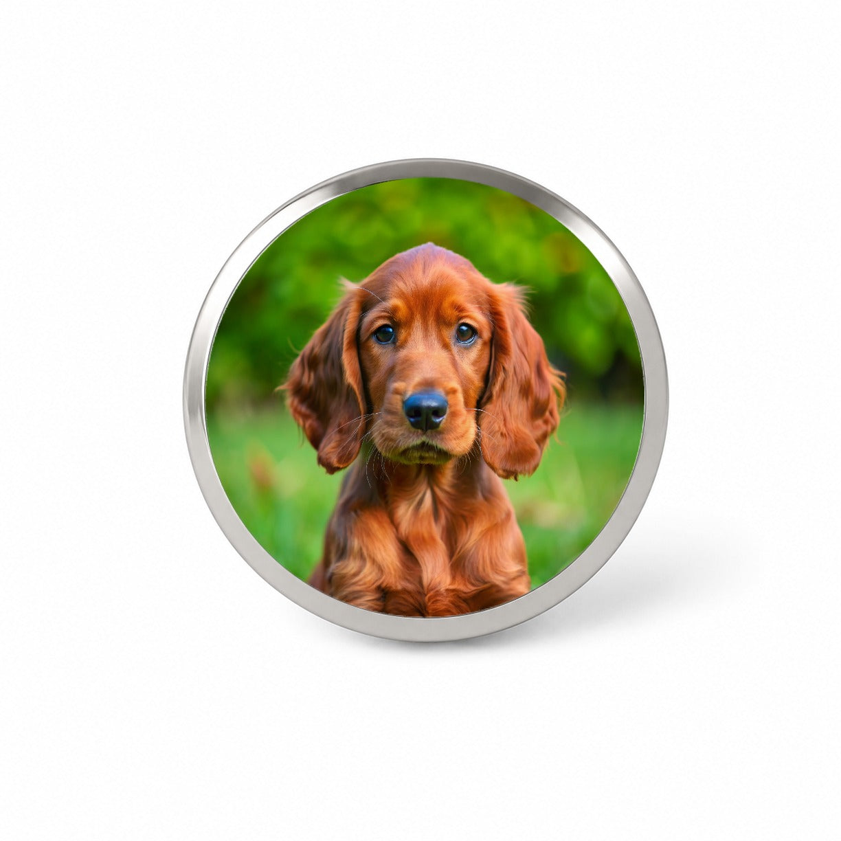 Irish Setter Dog Puppy Photo Novelty Hat Backpack Lapel Pin