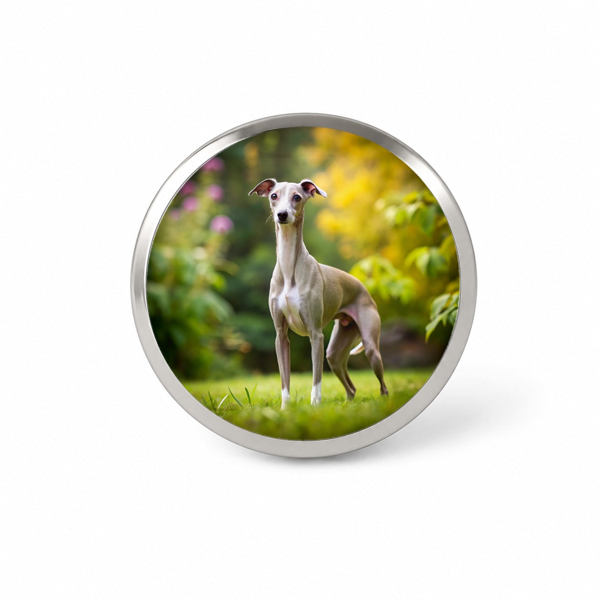 Italian Greyhound Dog Photo Novelty Hat Backpack Lapel Pin