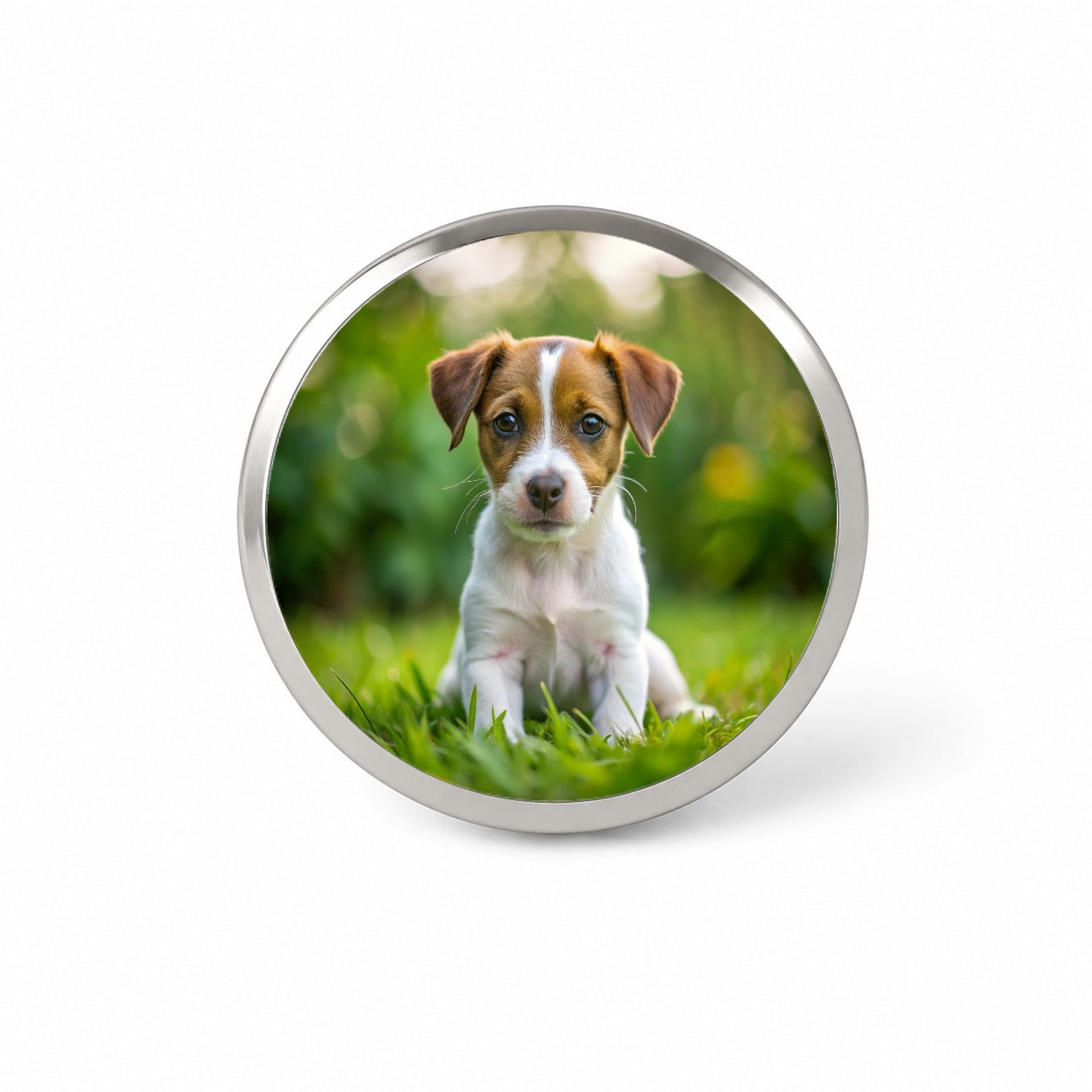Jack Russell Terrier Dog Puppy Photo Novelty Hat Backpack Lapel Pin