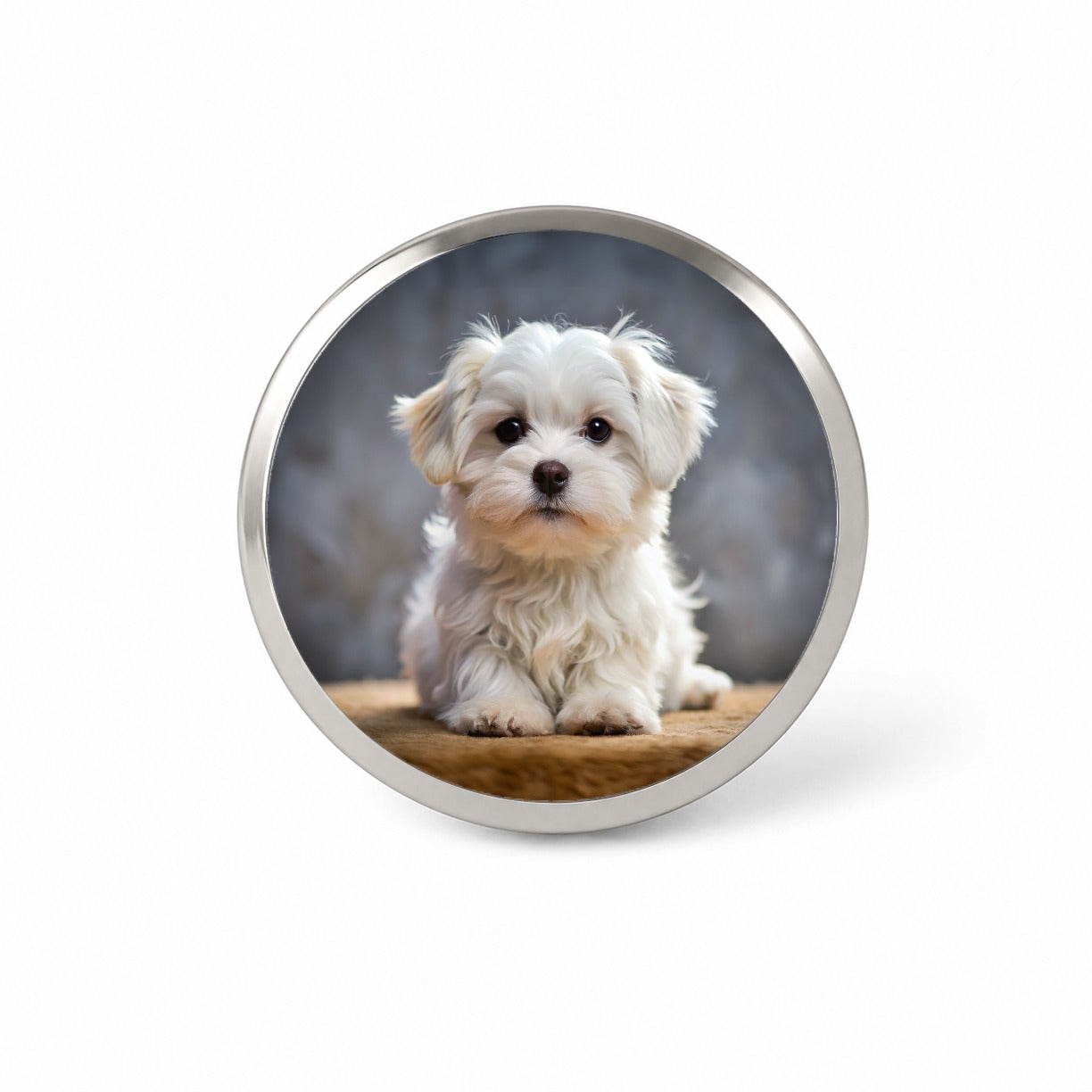 Maltese Dog Puppy Photo Novelty Hat Backpack Lapel Pin