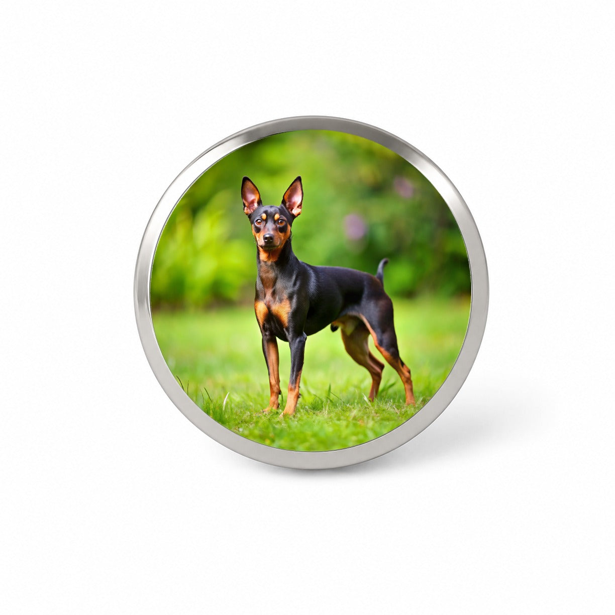 Miniature Pinscher Dog Photo Novelty Hat Backpack Lapel Pin