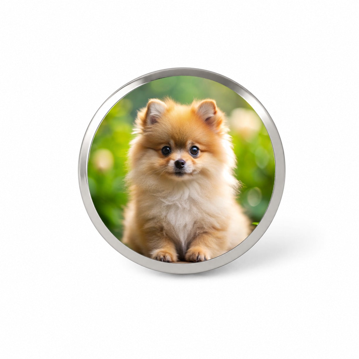 Pomeranian Dog Puppy Photo Novelty Hat Backpack Lapel Pin
