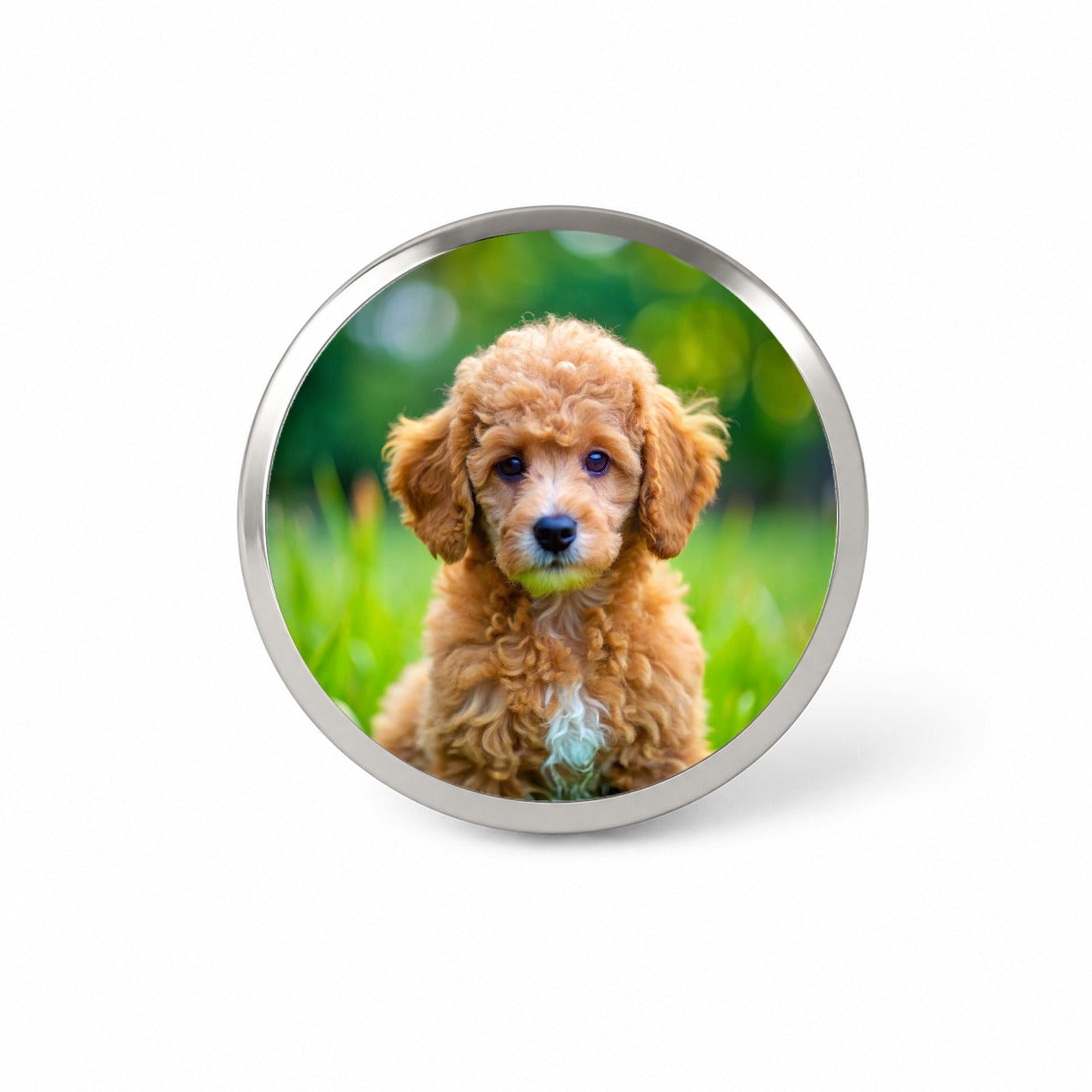 Poodle Dog Puppy Photo Novelty Hat Backpack Lapel Pin
