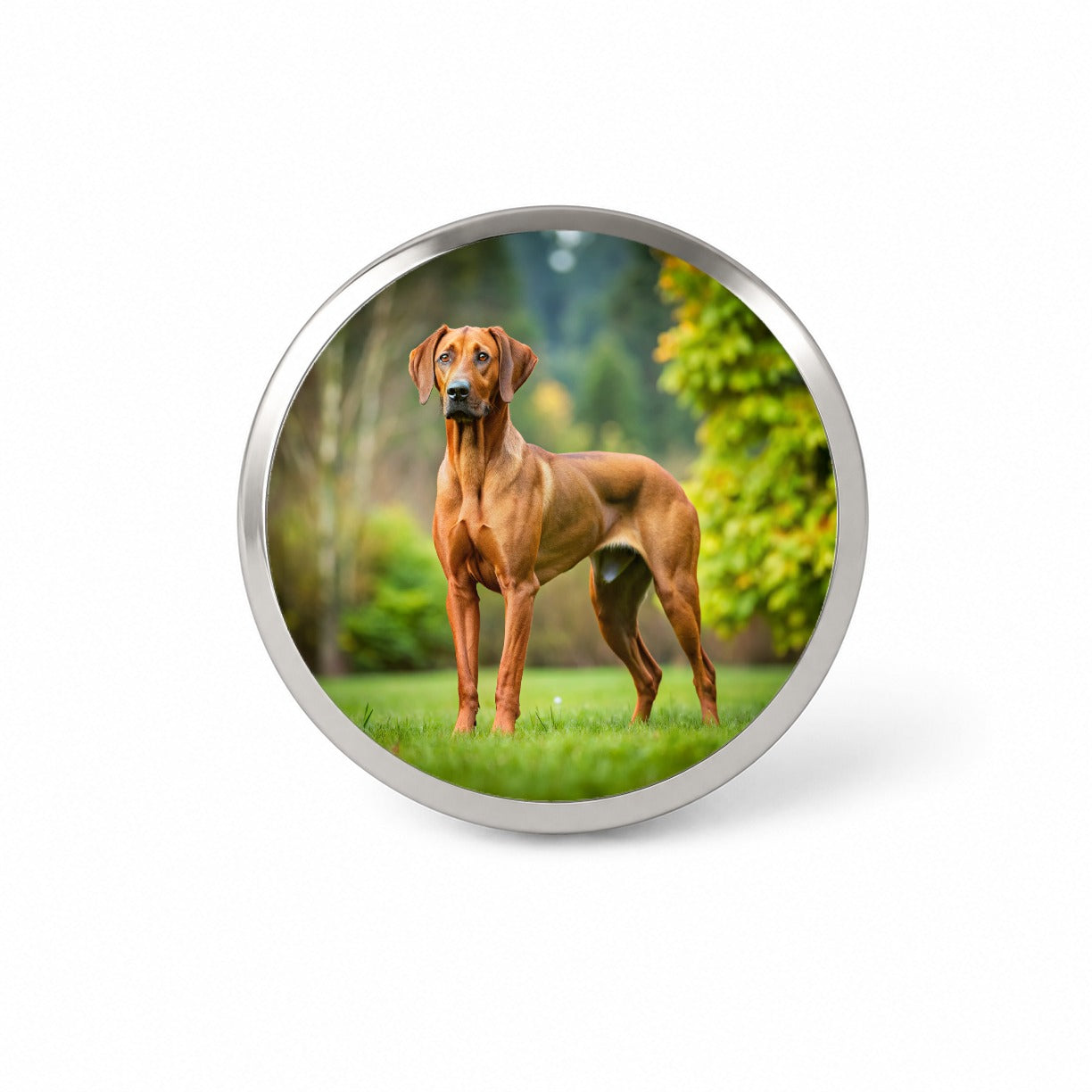Rhodesian Ridgeback Dog Photo Novelty Hat Backpack Lapel Pin