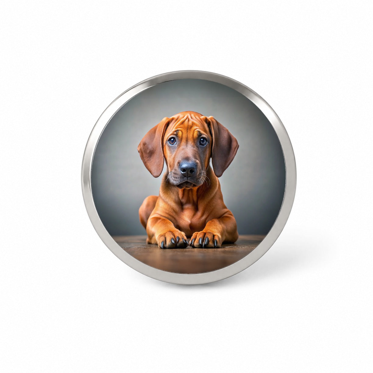Rhodesian Ridgeback Dog Puppy Photo Novelty Hat Backpack Lapel Pin