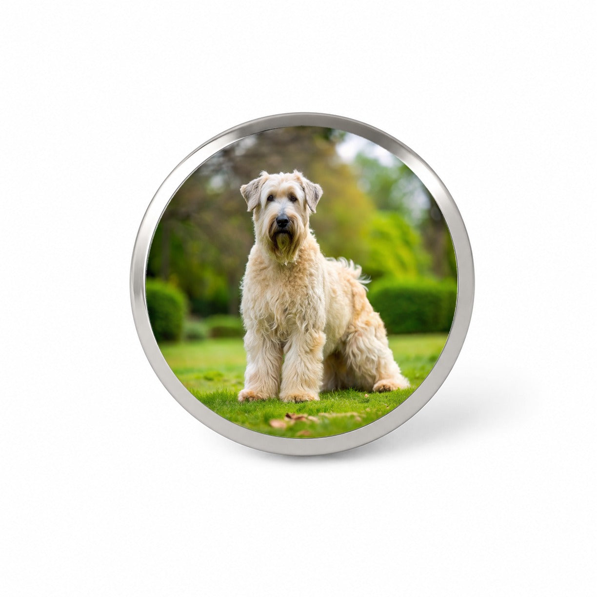 Soft Coated Wheaten Terrier Dog Photo Novelty Hat Backpack Lapel Pin