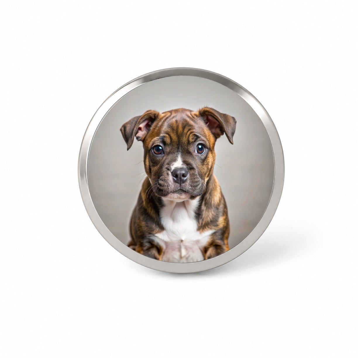 Staffordshire Bull Terrier Staffy Dog Puppy Photo Novelty Hat Backpack Lapel Pin