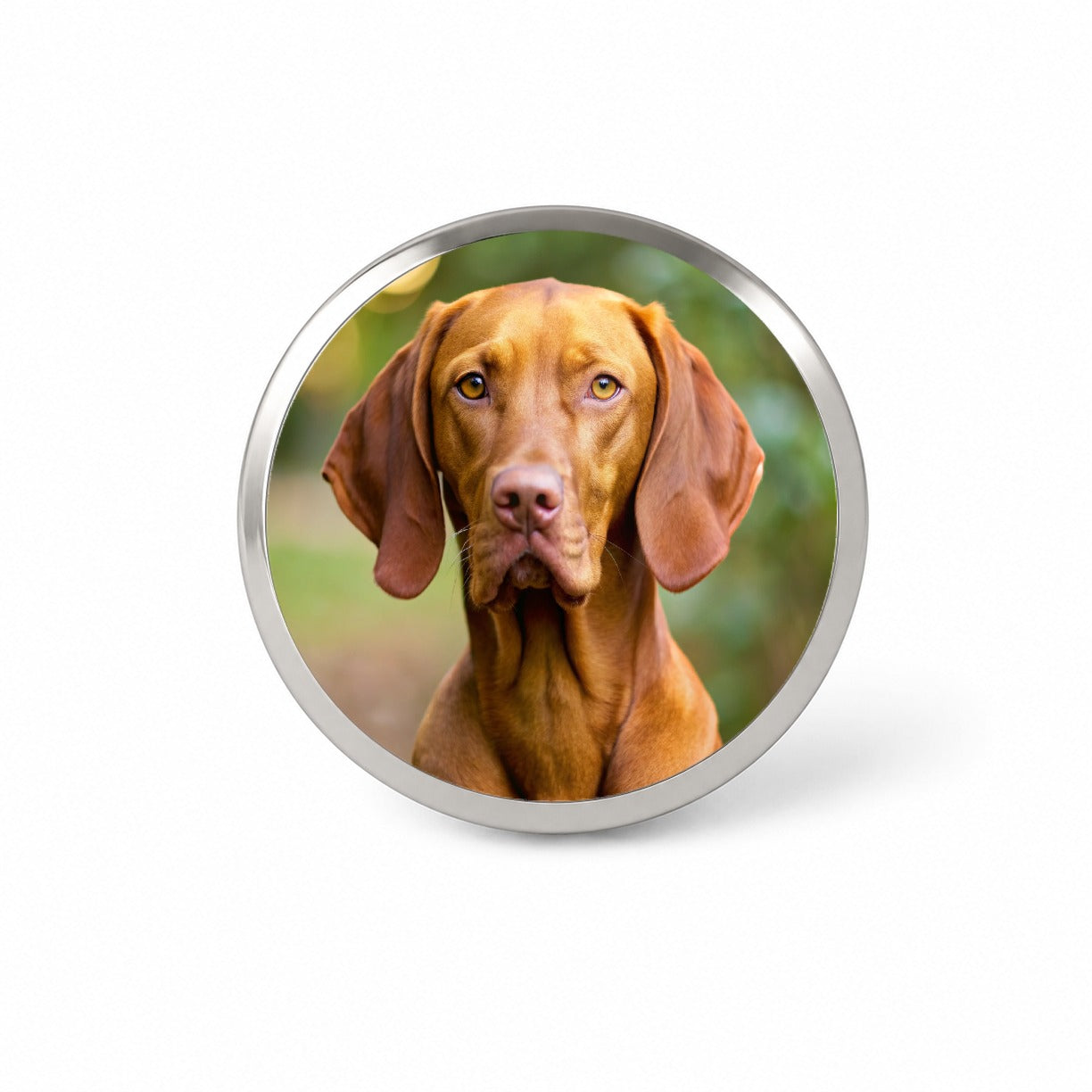 Vizsla Dog Photo Novelty Hat Backpack Lapel Pin