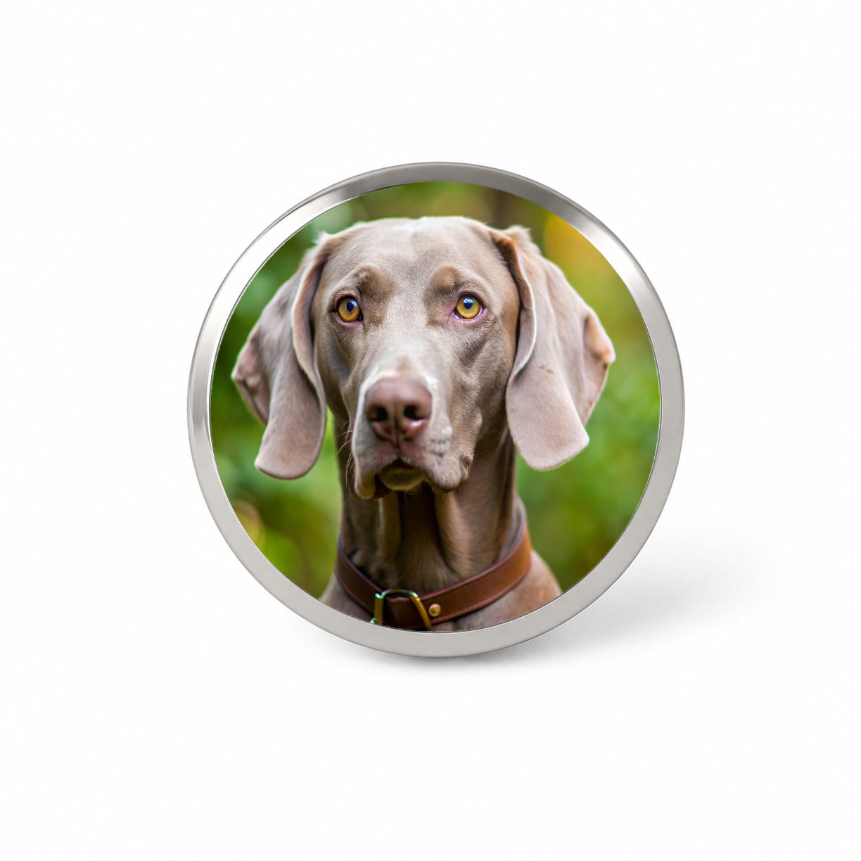 Weimaraner Dog Photo Novelty Hat Backpack Lapel Pin