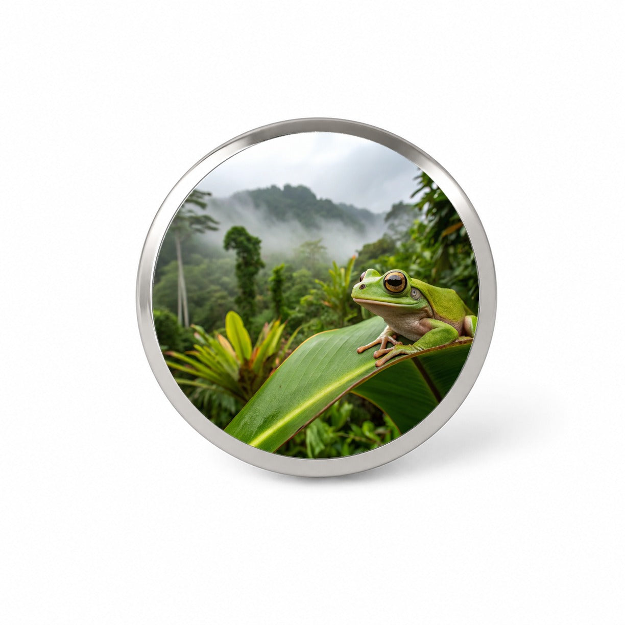 Puerto Rico Frog On Leaf Novelty Hat Backpack Lapel Pin