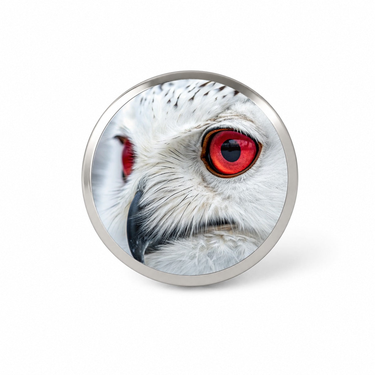 Red Eyes Owl Bird Novelty Hat Backpack Lapel Pin