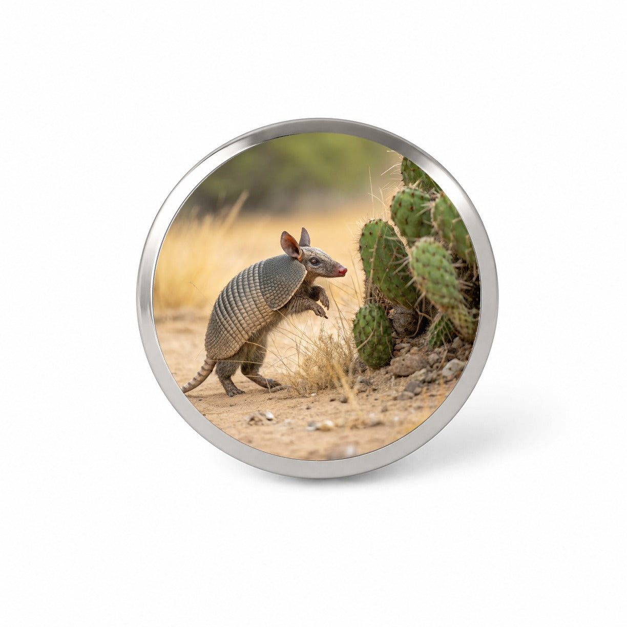 Armadillo In Desert Novelty Hat Backpack Lapel Pin