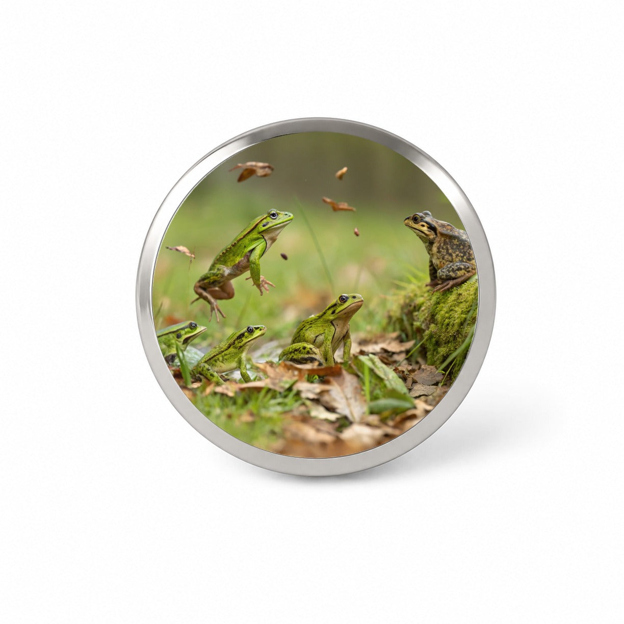 Bunch Of Frogs Novelty Hat Backpack Lapel Pin