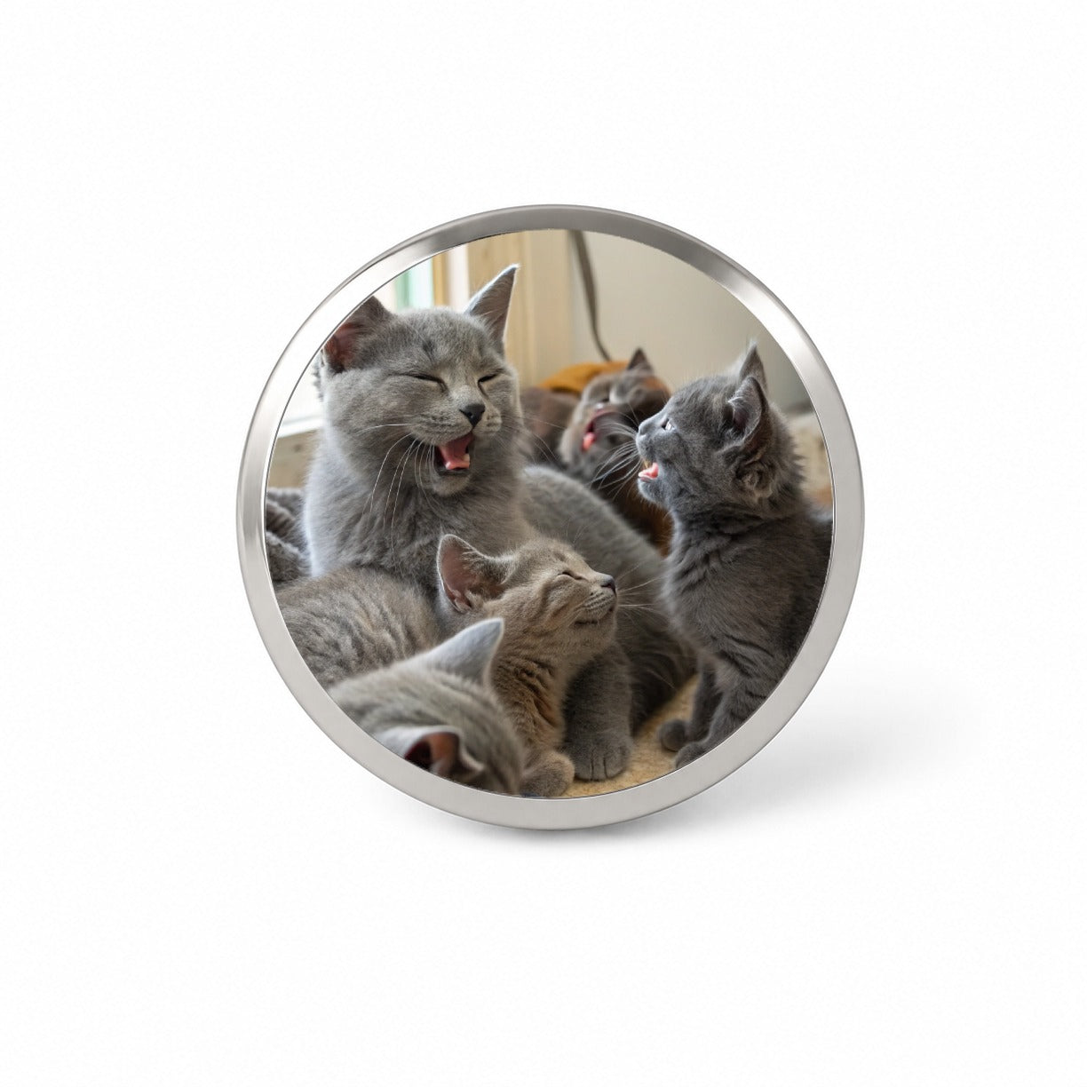 Bunch Of Gray Cats Novelty Hat Backpack Lapel Pin