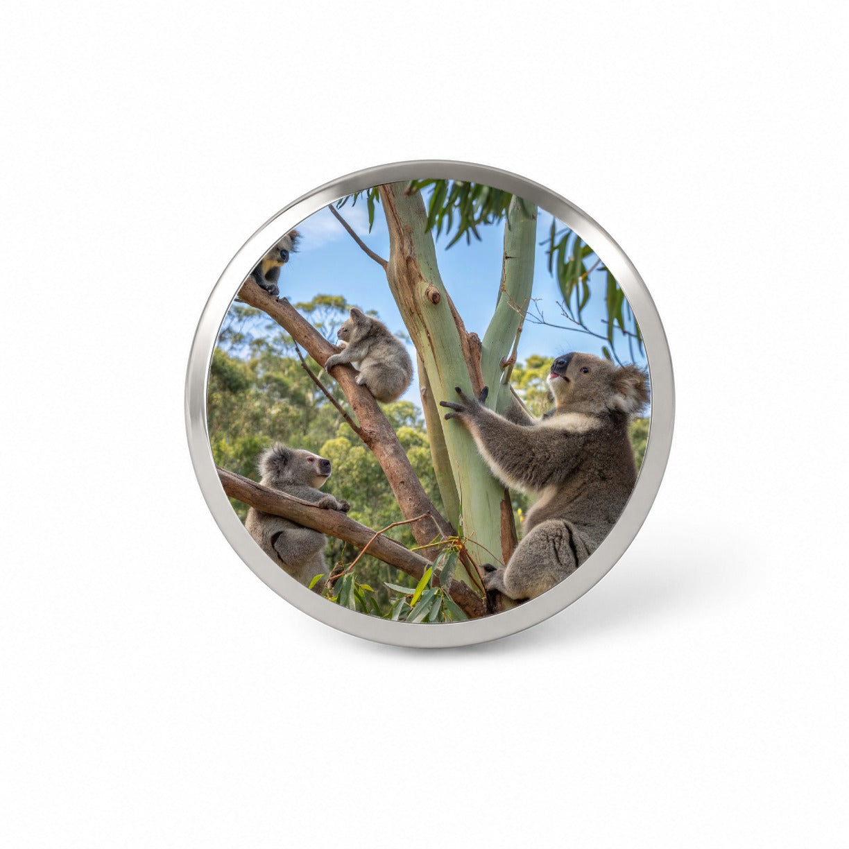 Bunch Of Koalas Novelty Hat Backpack Lapel Pin