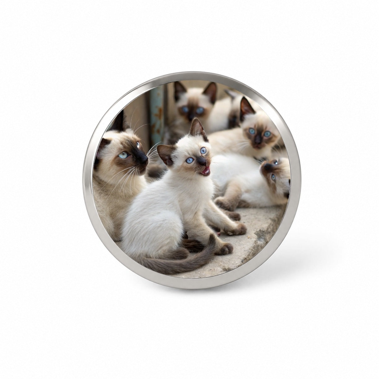 Bunch Of Siamese Cats Novelty Hat Backpack Lapel Pin