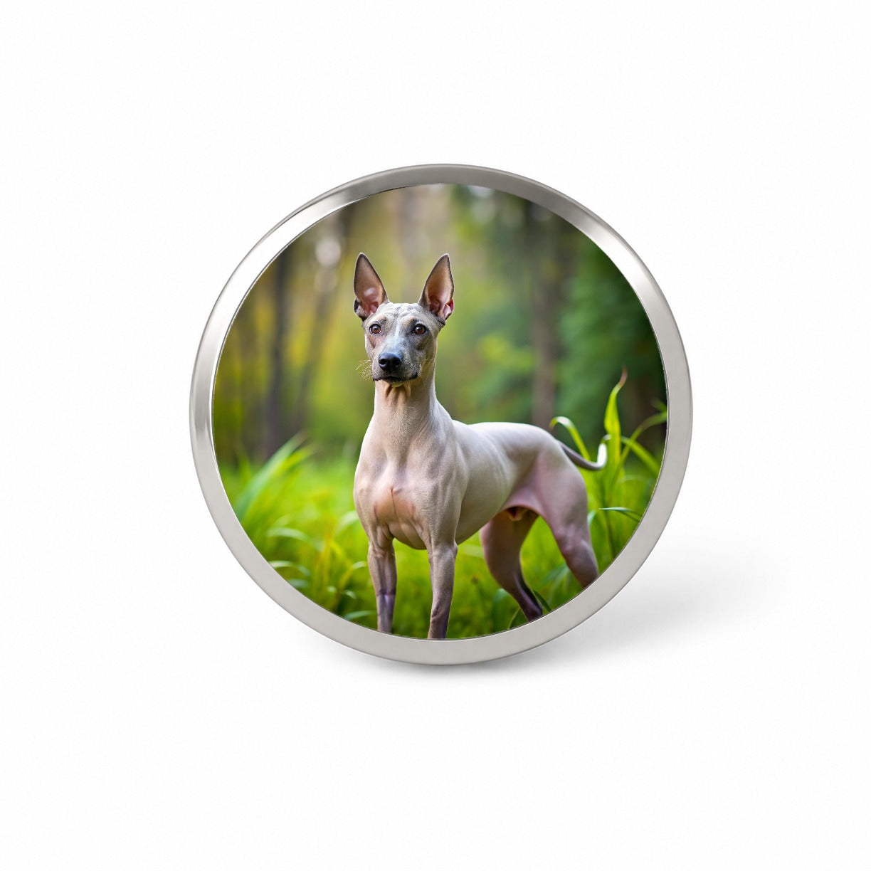 American Hairless Terrier Dog Photo Novelty Hat Backpack Lapel Pin