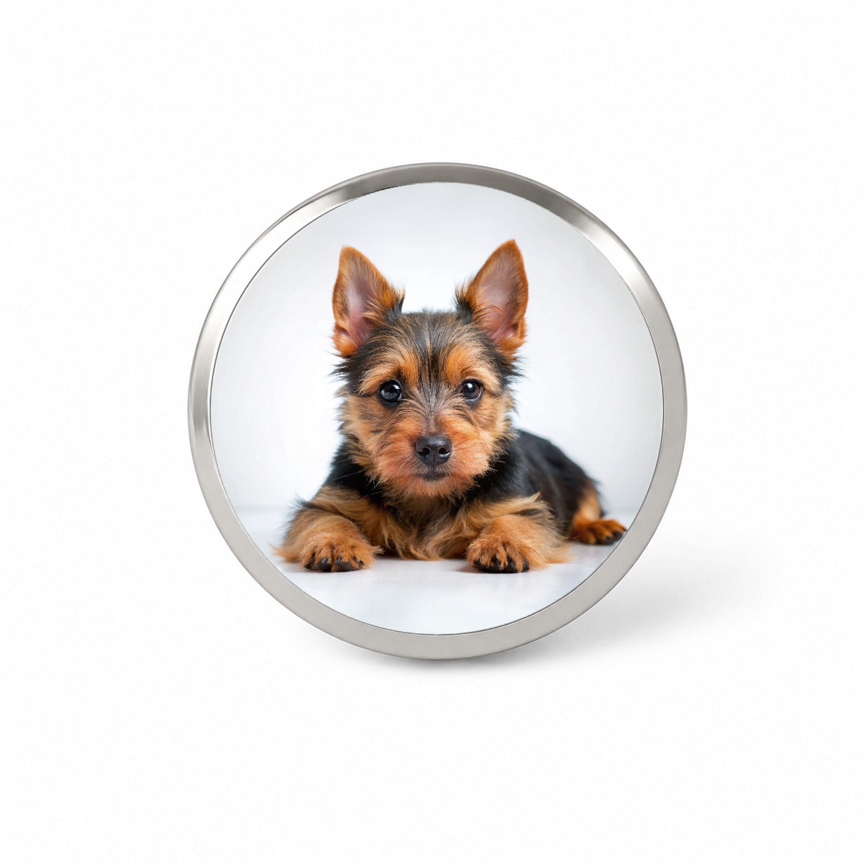 Australian Terrier Dog Puppy Photo Novelty Hat Backpack Lapel Pin