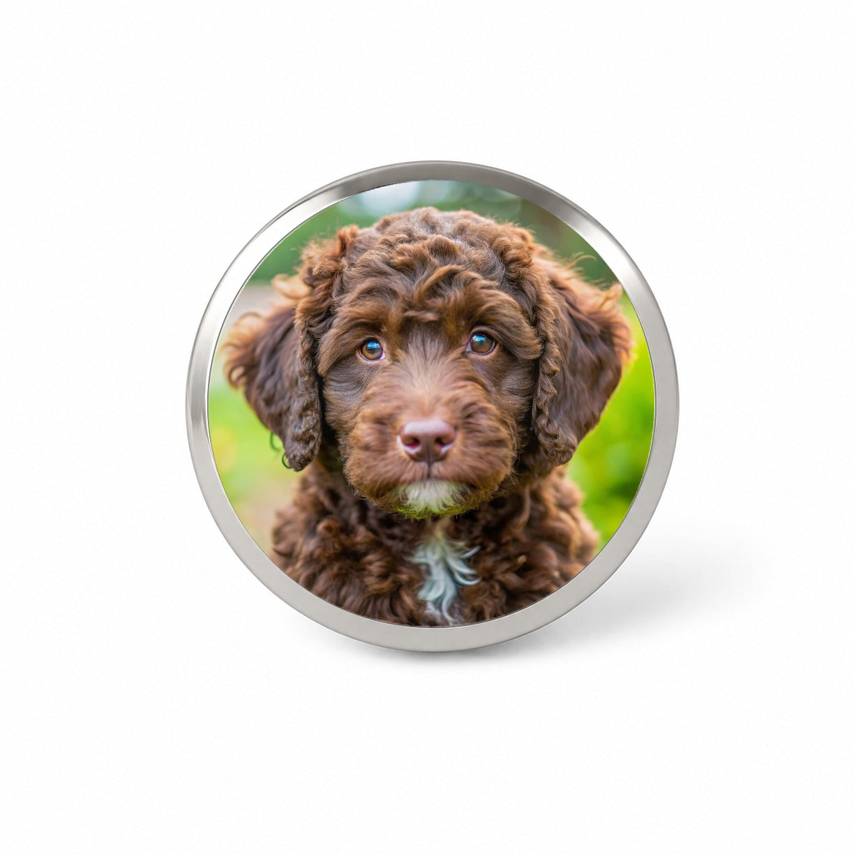 Barbet Dog Puppy Photo Novelty Hat Backpack Lapel Pin