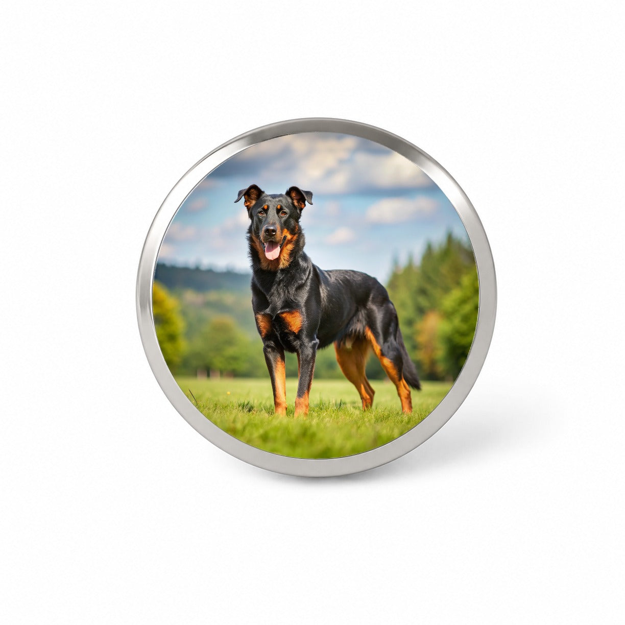 Beauceron Dog Photo Novelty Hat Backpack Lapel Pin