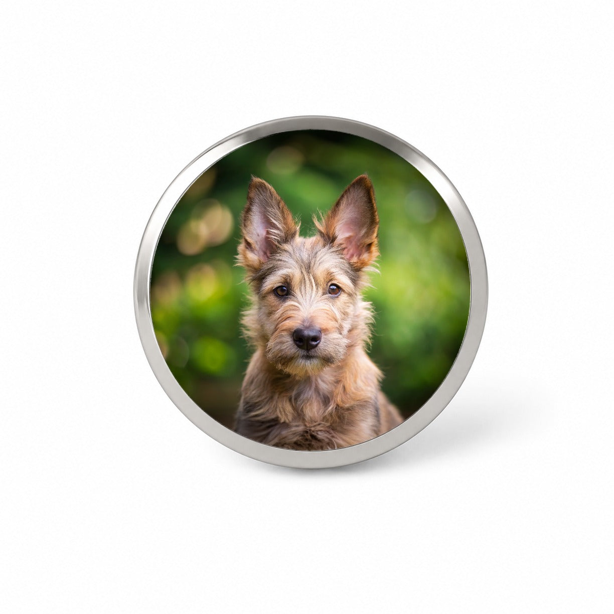 Berger Picard Dog Puppy Photo Novelty Hat Backpack Lapel Pin