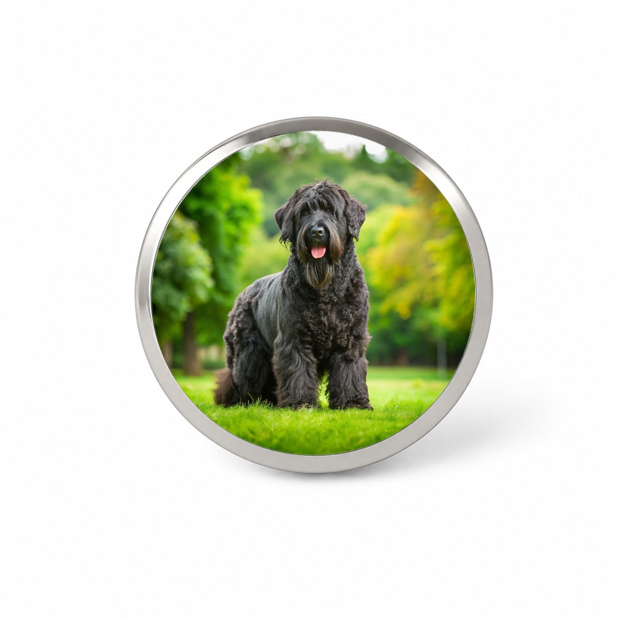 Black Russian Terrier Dog Photo Novelty Hat Backpack Lapel Pin
