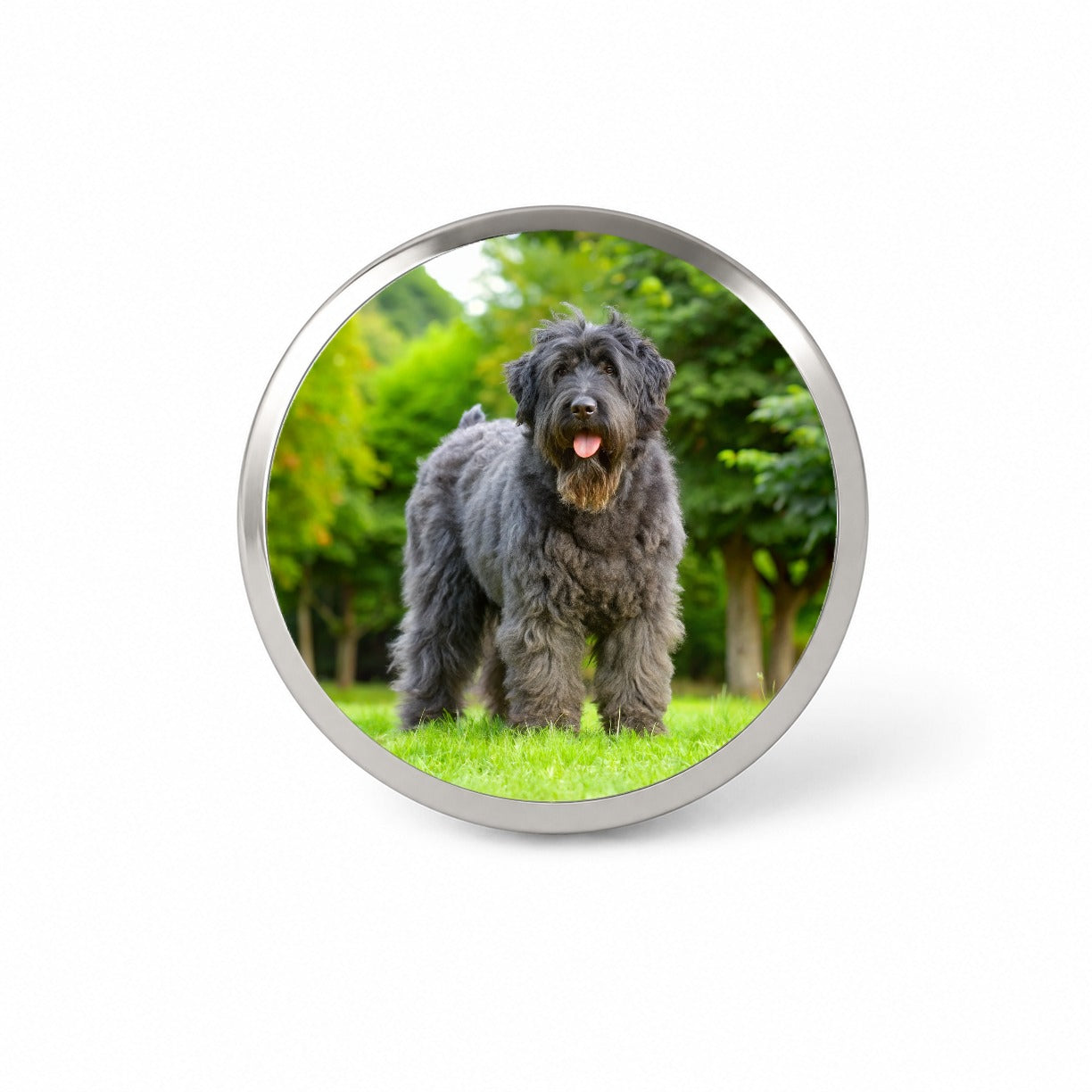 Bouviers Des Flandres Dog Photo Novelty Hat Backpack Lapel Pin