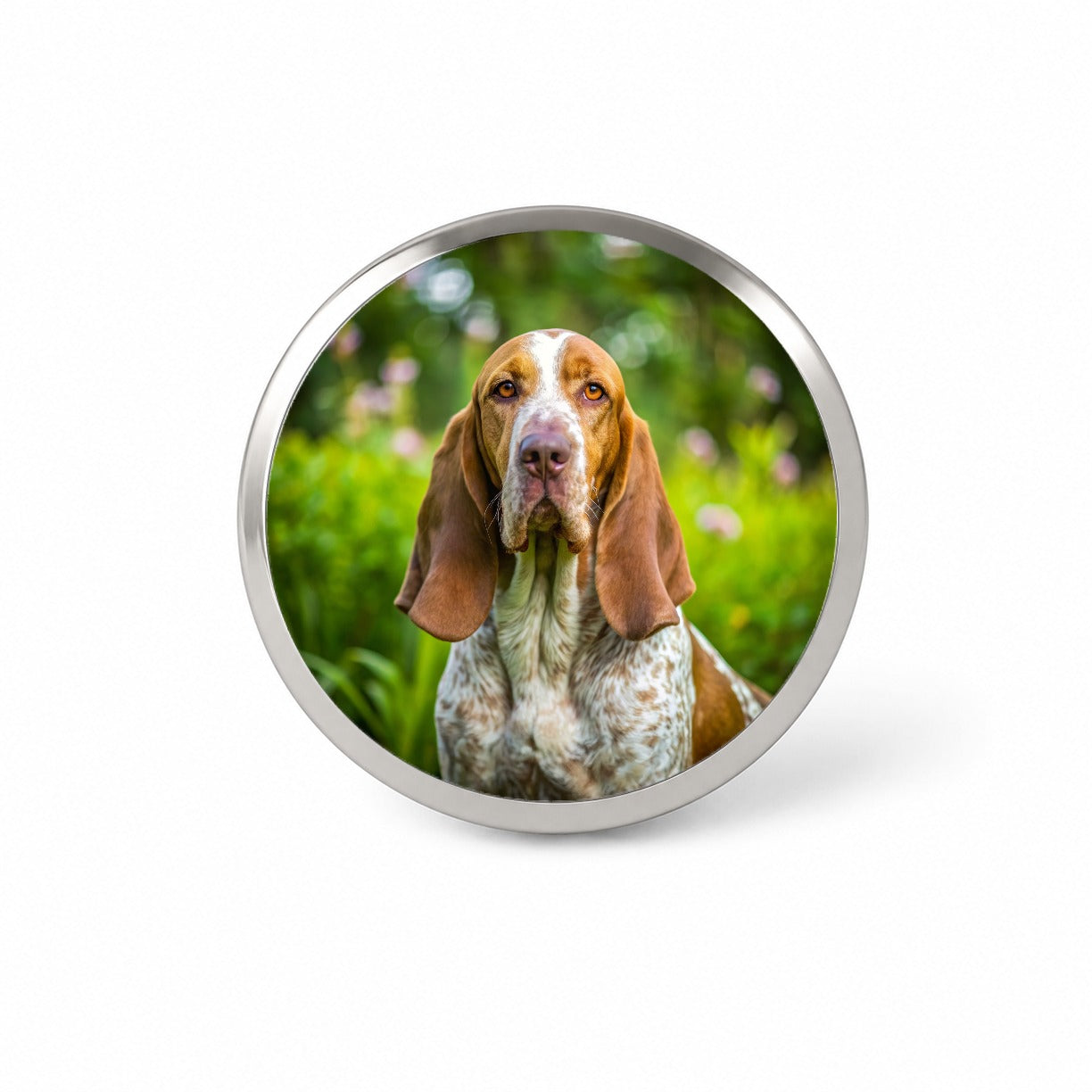 Bracco Italiano Dog Photo Novelty Hat Backpack Lapel Pin