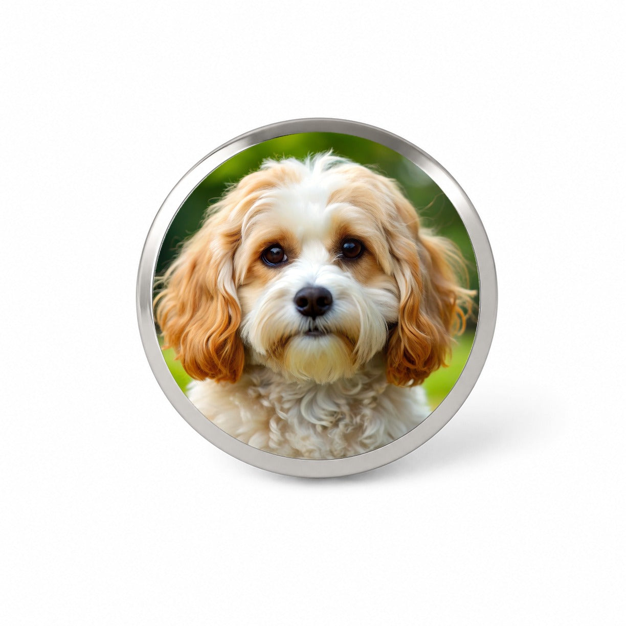 Cavachon Dog Photo Novelty Hat Backpack Lapel Pin
