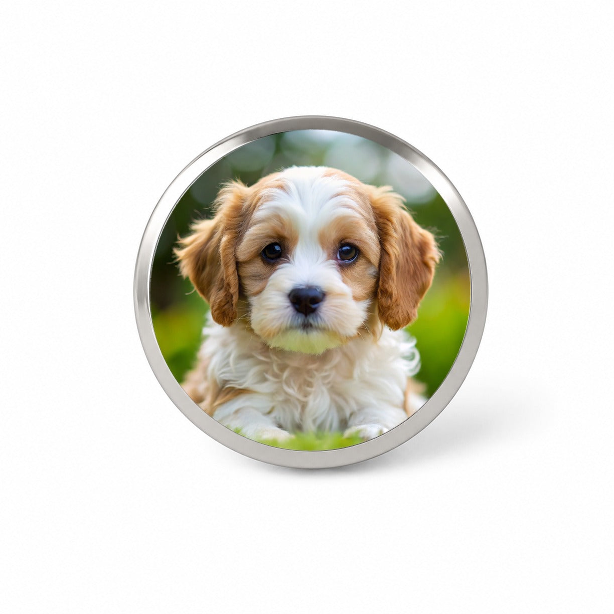 Cavachon Dog Puppy Photo Novelty Hat Backpack Lapel Pin