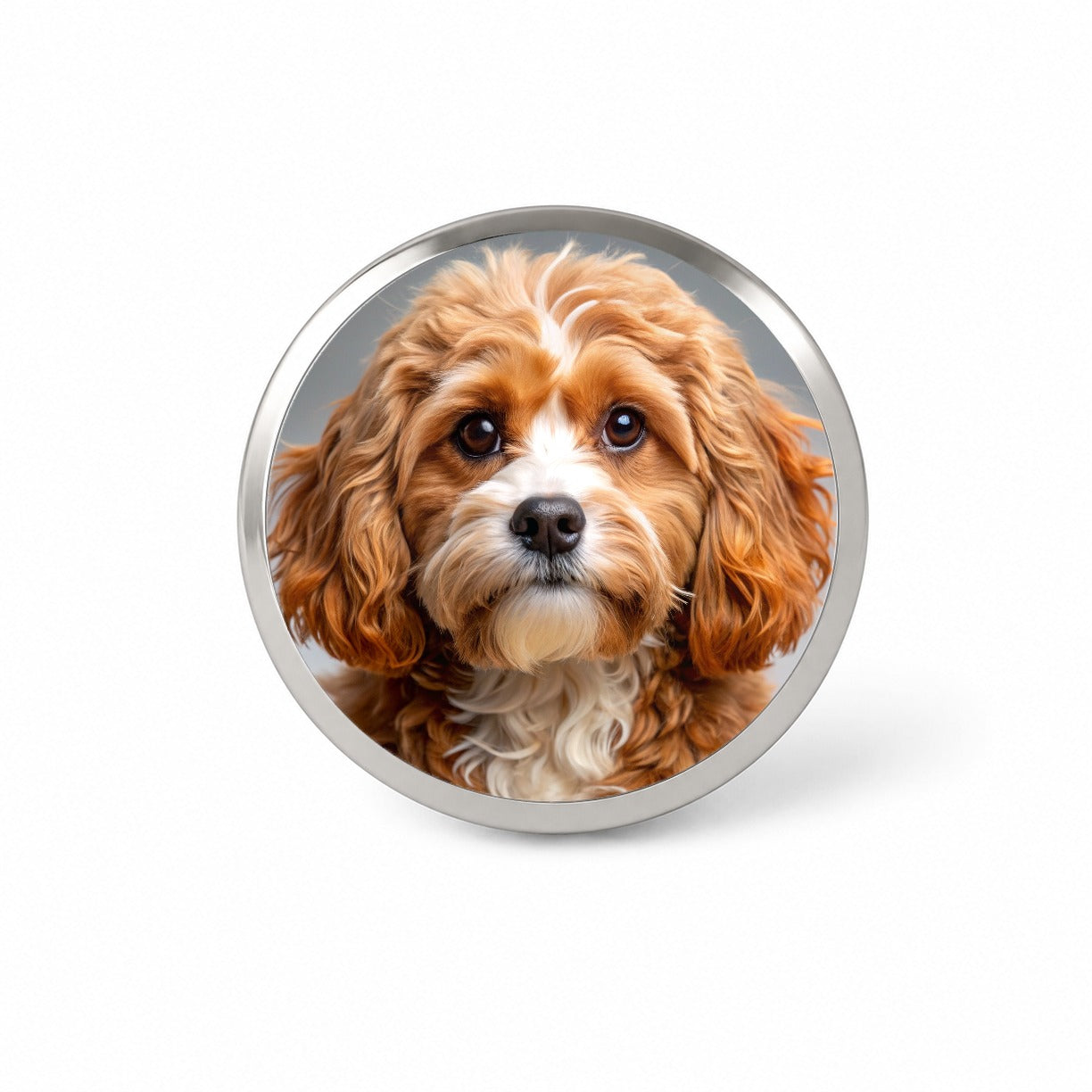 Cavapoo Dog Photo Novelty Hat Backpack Lapel Pin