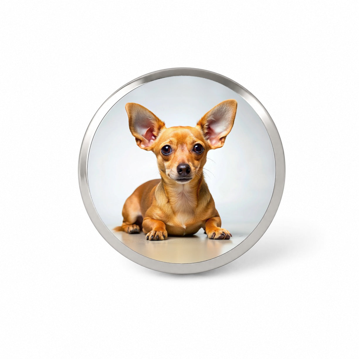 Chiweenie Dog Photo Novelty Hat Backpack Lapel Pin