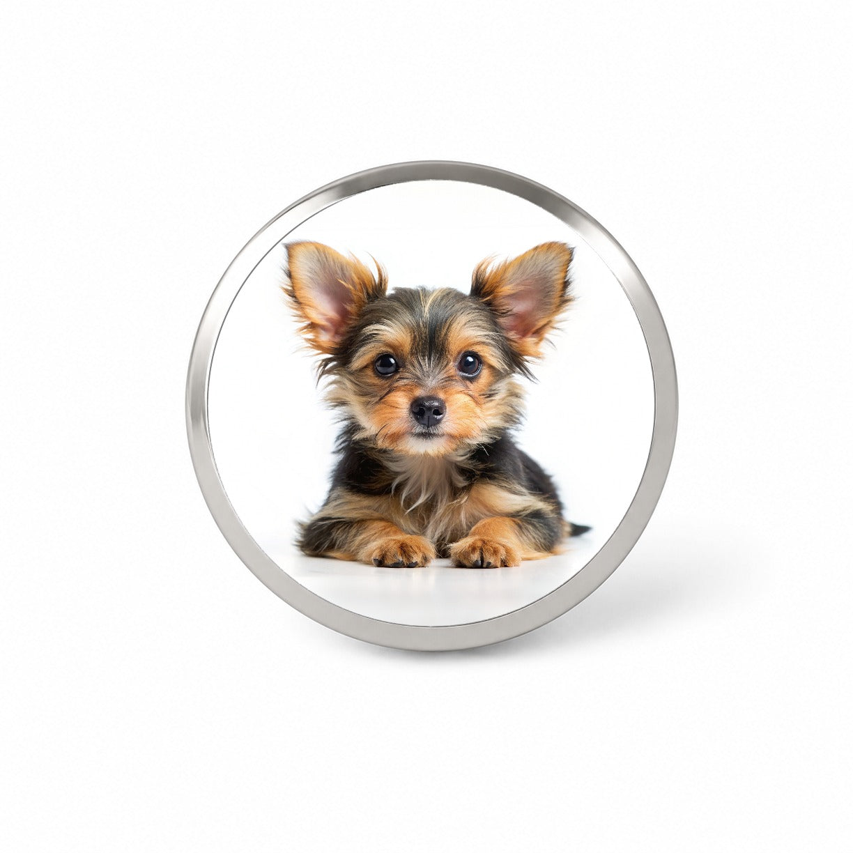 Chorkie Dog Puppy Photo Novelty Hat Backpack Lapel Pin