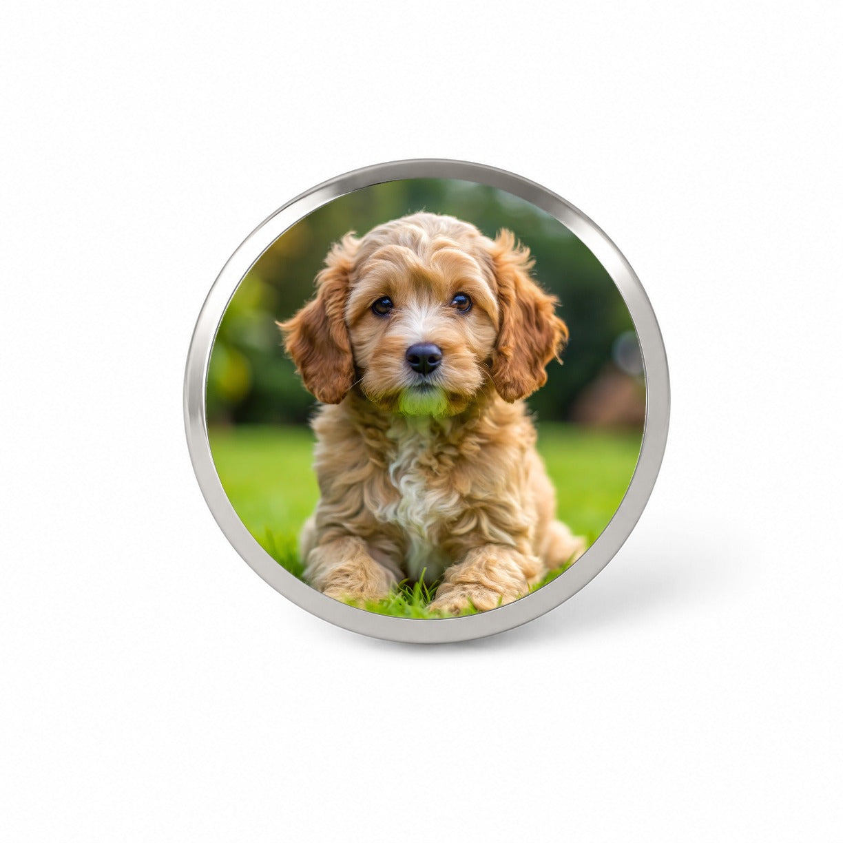 Cockapoo Dog Puppy Photo Novelty Hat Backpack Lapel Pin