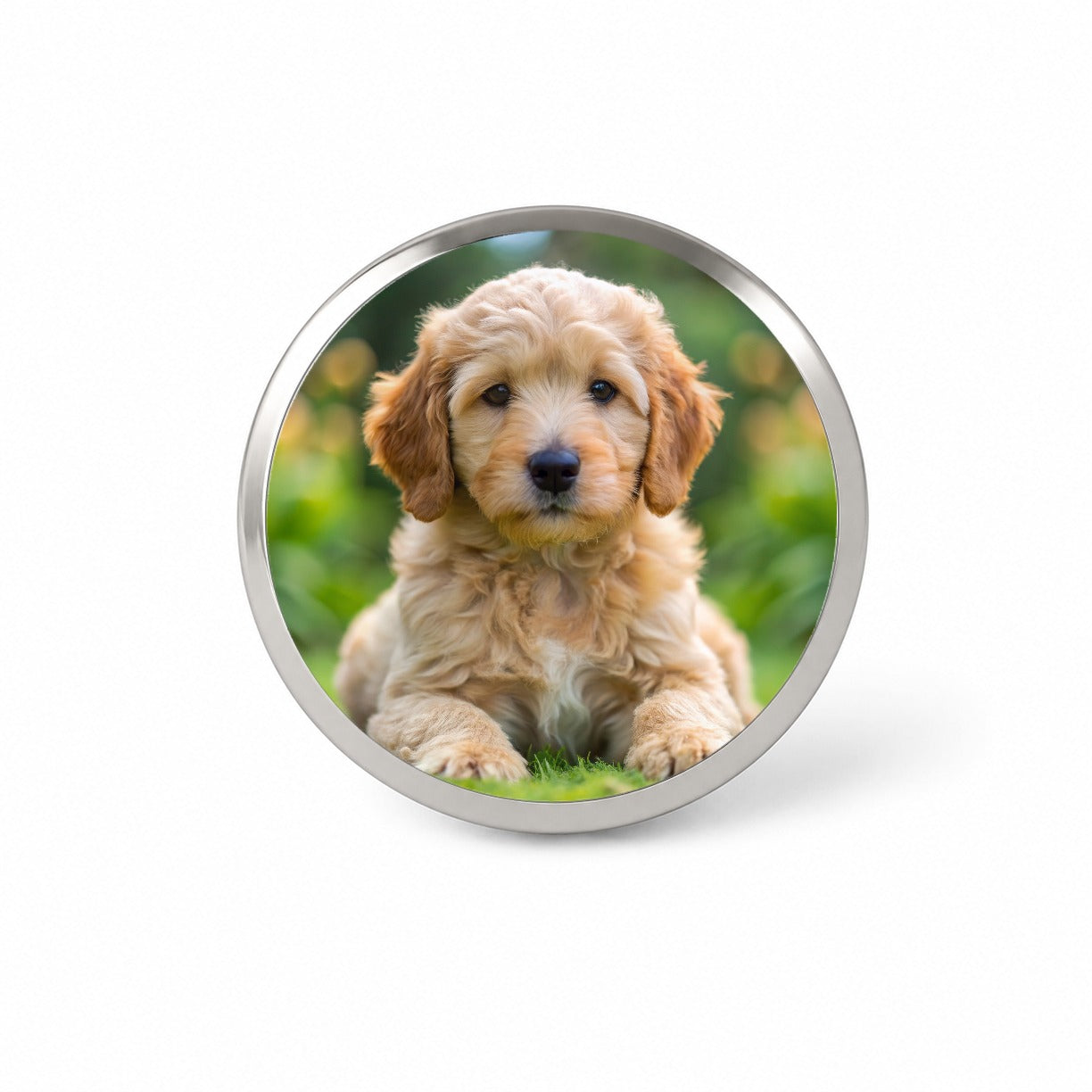 Goldendoodle Dog Puppy Photo Novelty Hat Backpack Lapel Pin