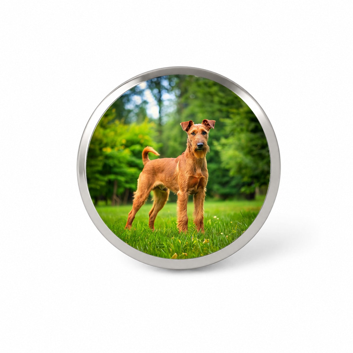 Irish Terrier Dog Photo Novelty Hat Backpack Lapel Pin