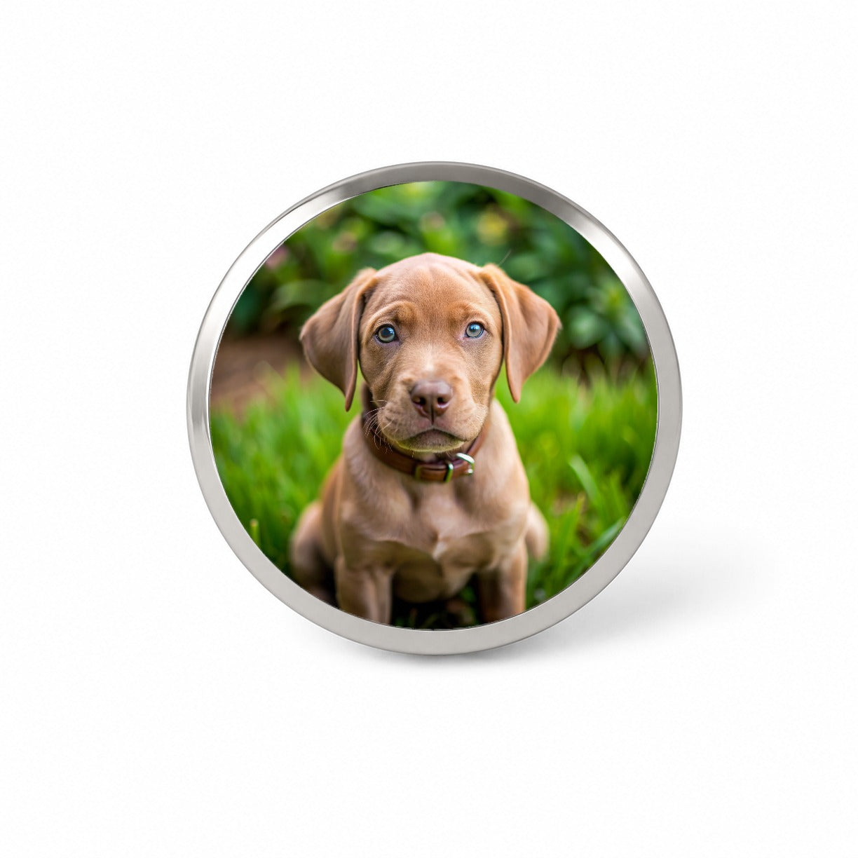 Labrabull Dog Puppy Photo Novelty Hat Backpack Lapel Pin